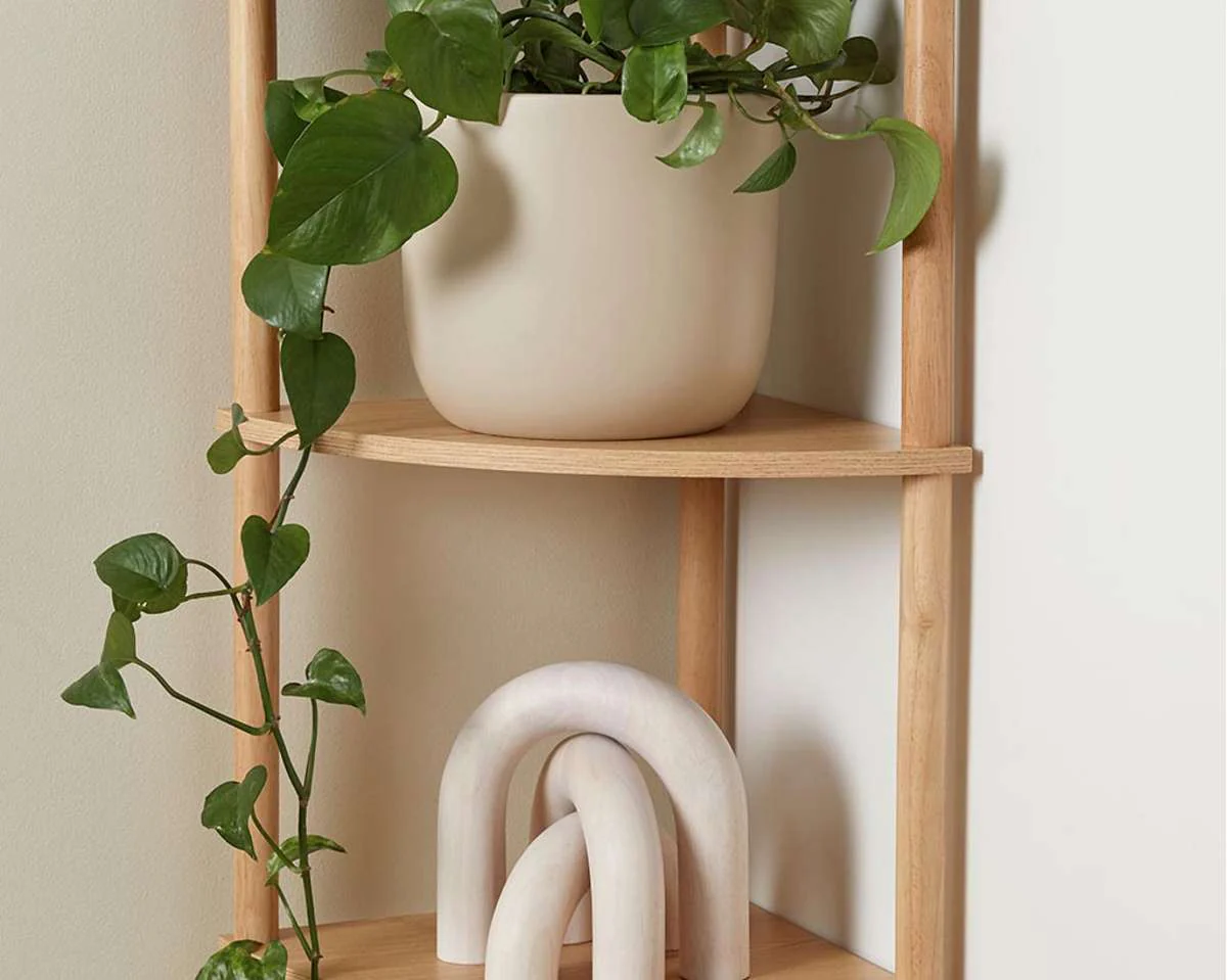 Eden Corner Shelf - Image 4