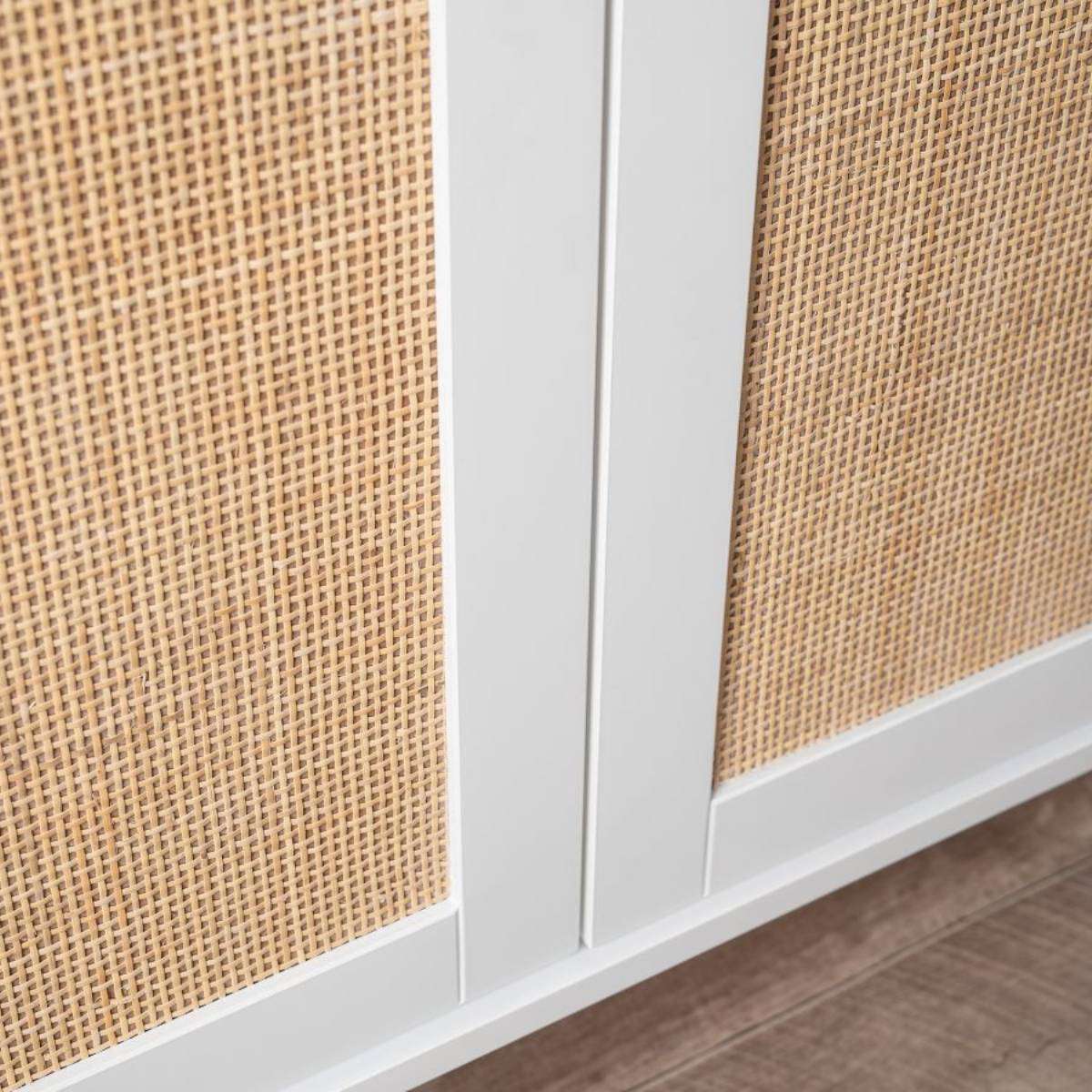 Georgia Two Door Cabinet - Image 4