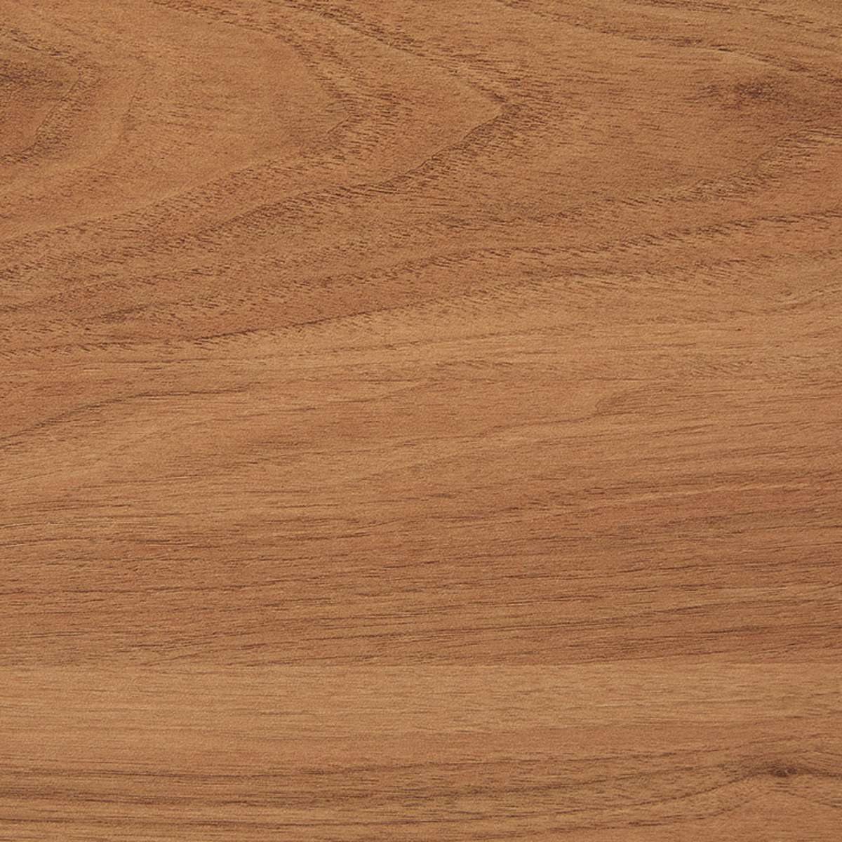 Leeroy Buffet - Hazelnut - Image 13